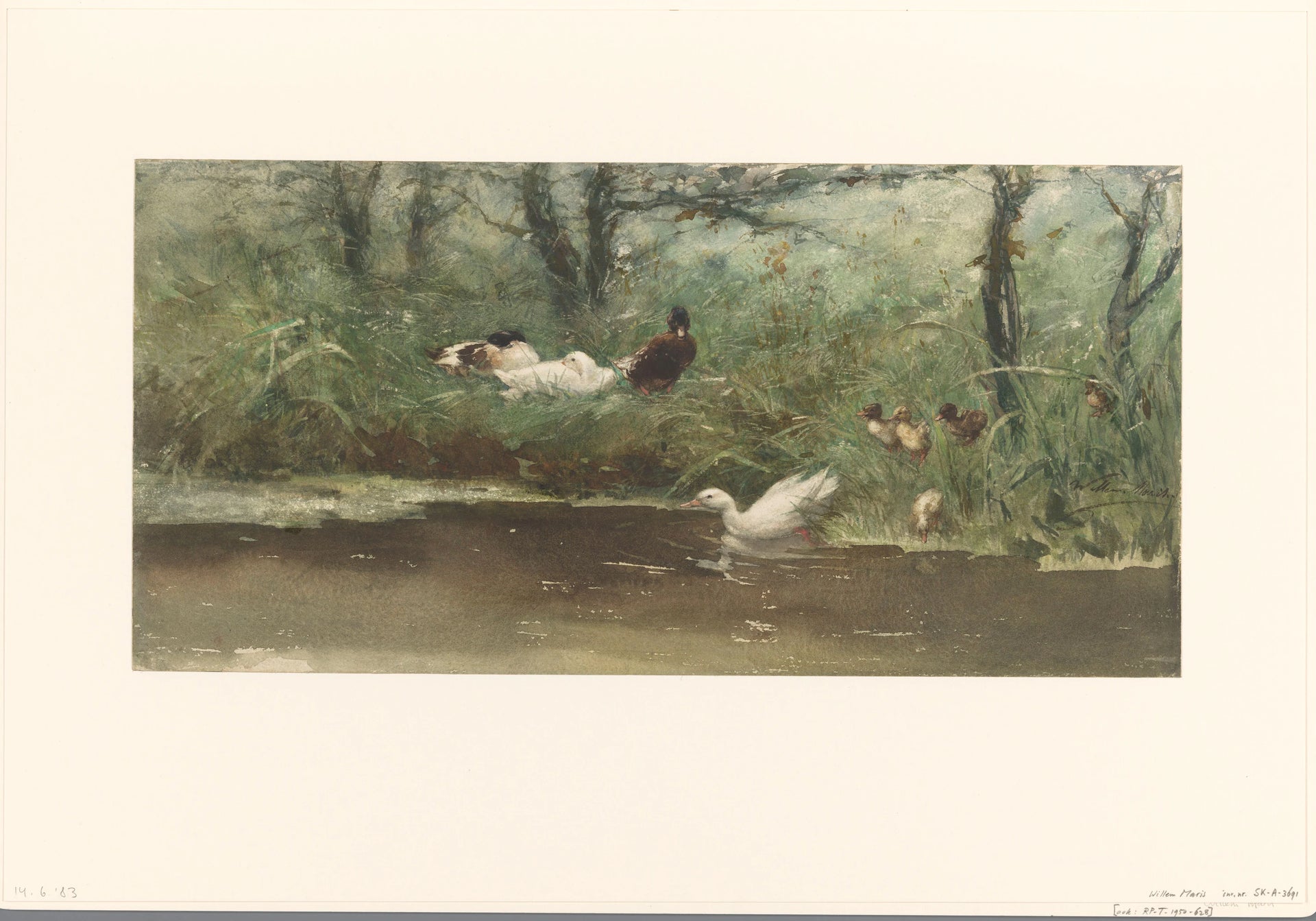 Canards du côté du fossé - Willem Maris
