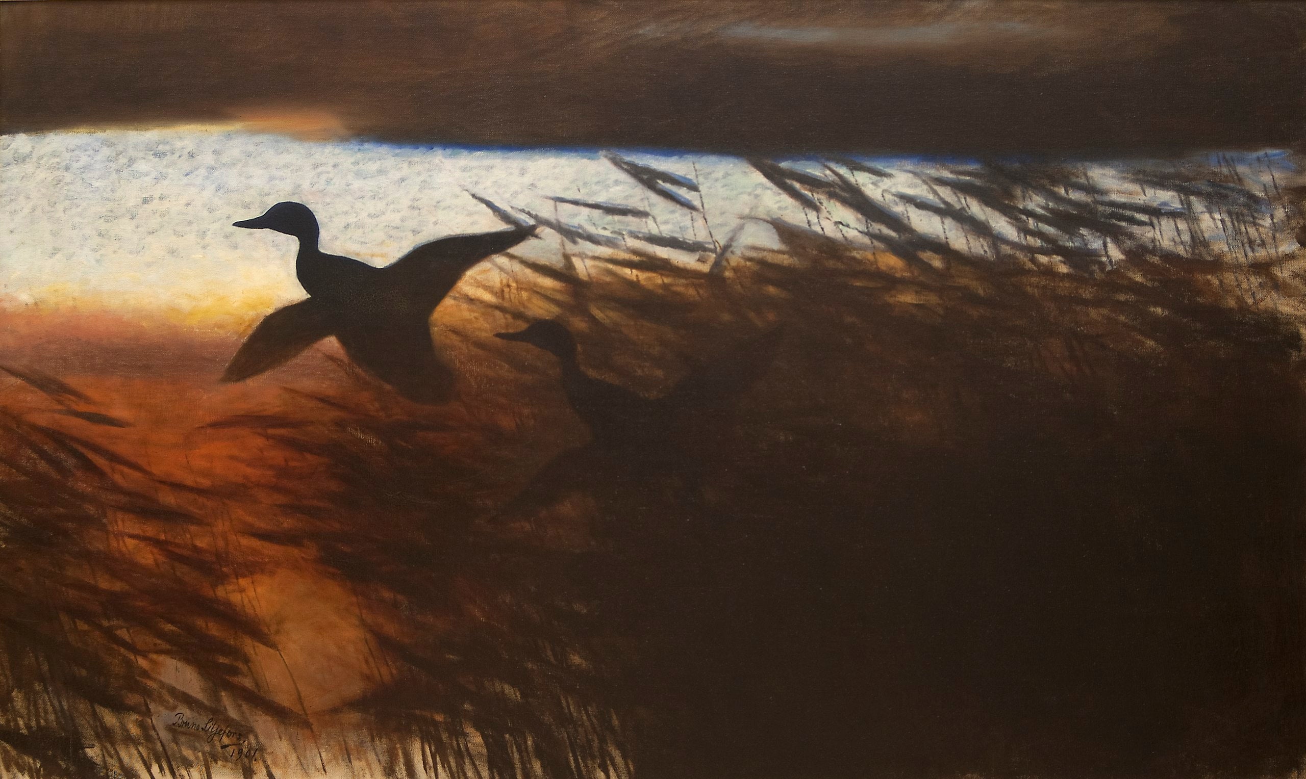Canards d'été s'élevant - Bruno Liljefors
