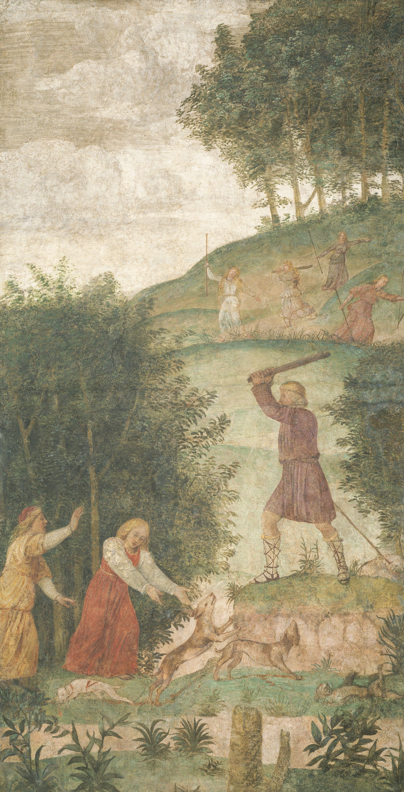 Céphale puni à la chasse - Bernardino Luini - Alpha Reproduction