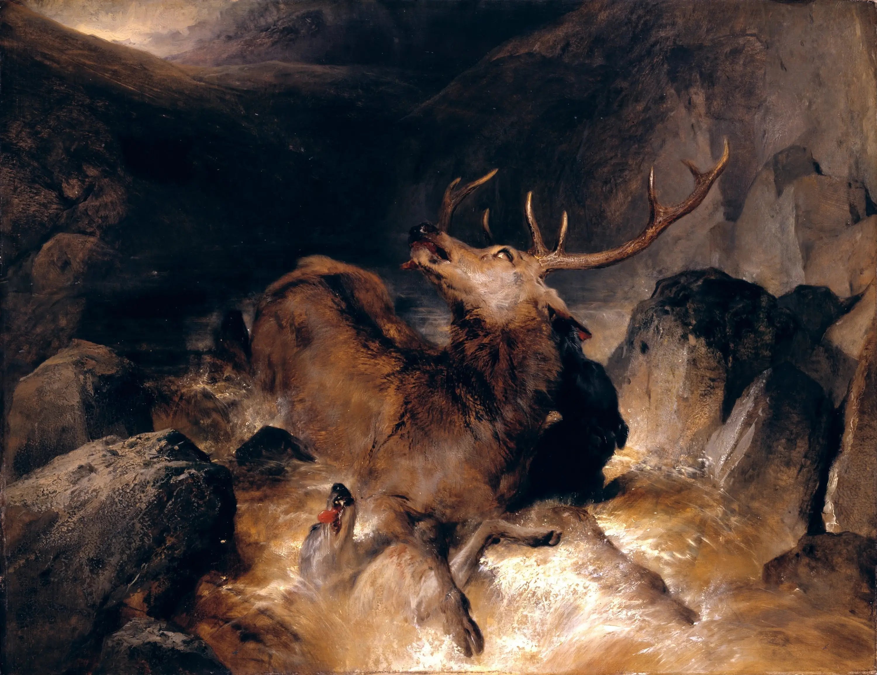 Cerfs et chiens de chasse dans un torrent de montagne - Edwin Henry Landseer - Alpha Reproduction