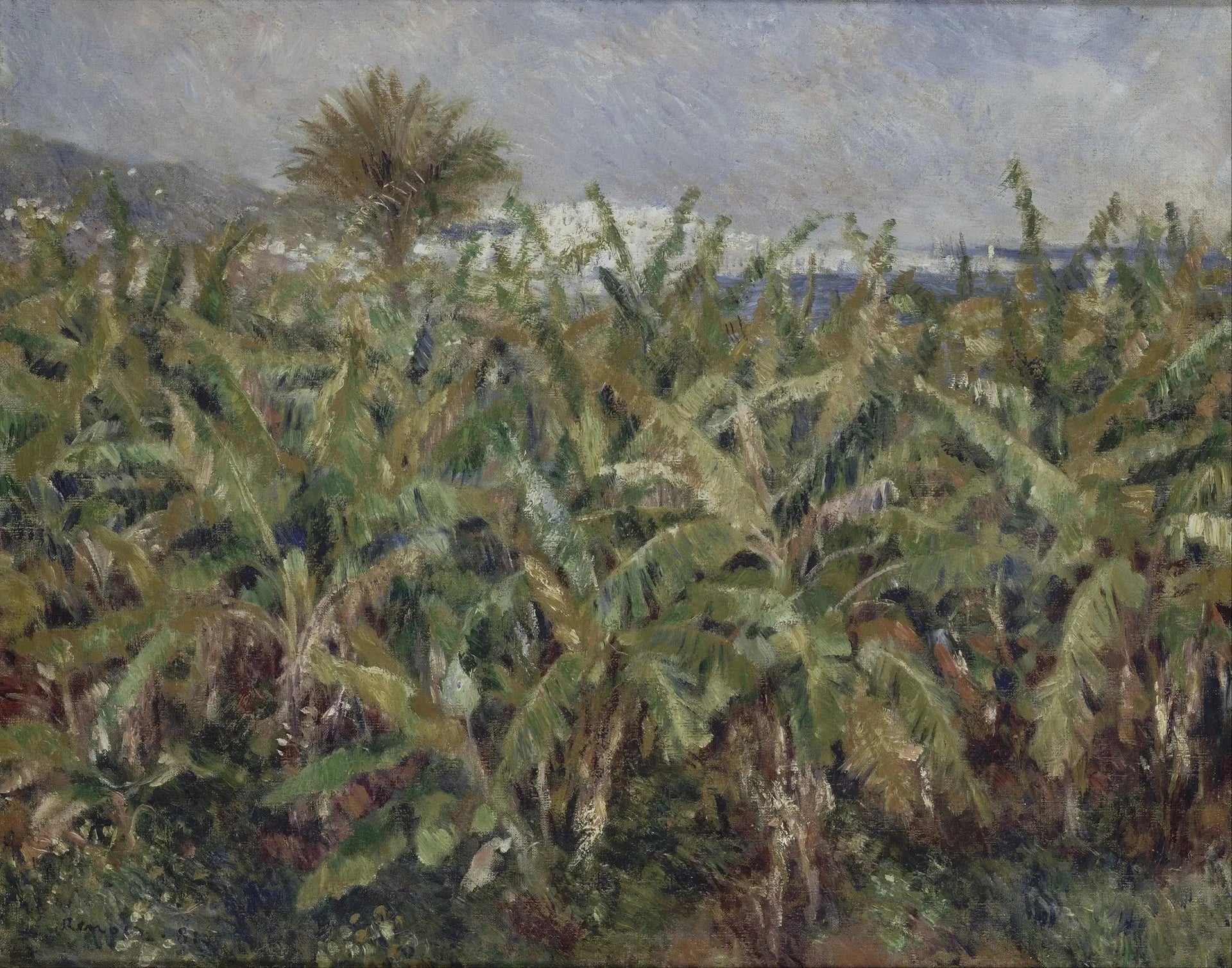 champ de bananes - Pierre-Auguste Renoir image 1 copie de tableau peinte à la main