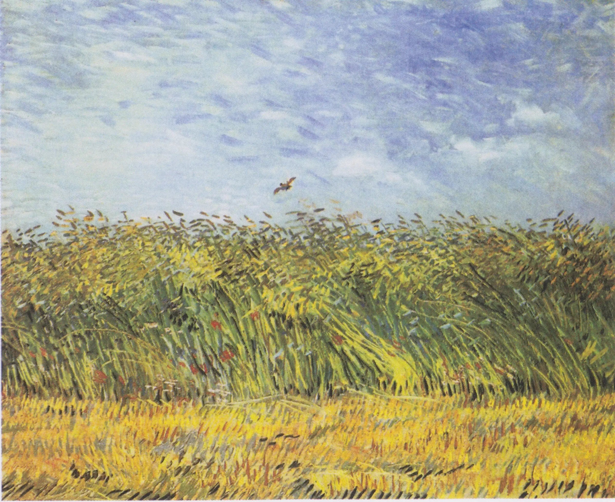 Reproduction du tableau « Champ de blé à l'alouette - Vincent van Gogh » par Alpha Reproduction en peinture à l’huile