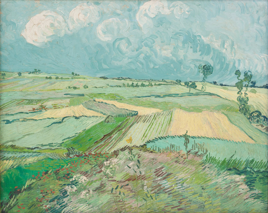 Champs de blé après la pluie, la plaine d’Auvers, de Vincent van Gogh, 1890