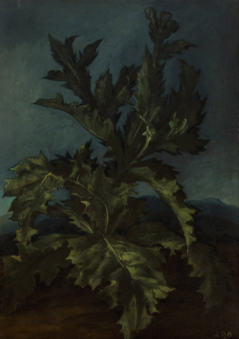 شاردون - كارلو دولچي