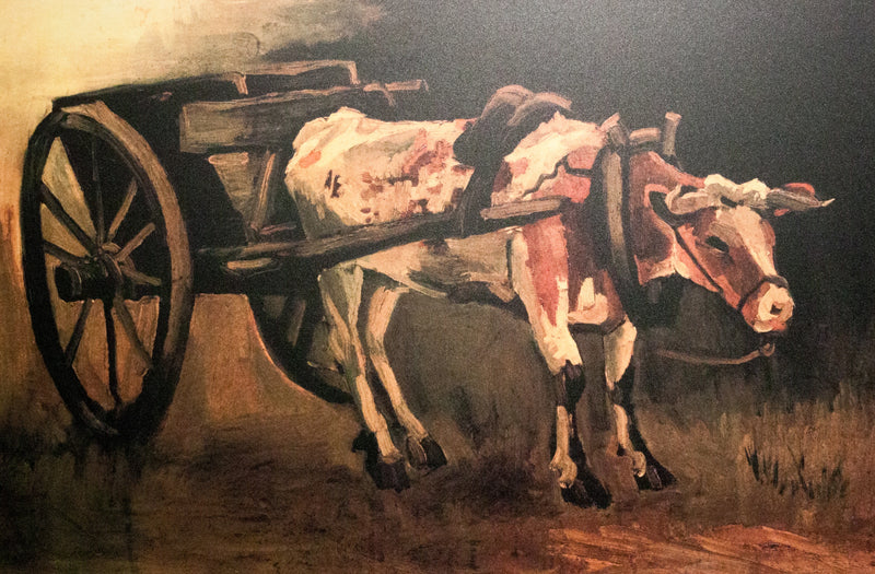 عربة مع ثور أحمر وأبيض - فينسنت فان جوخ