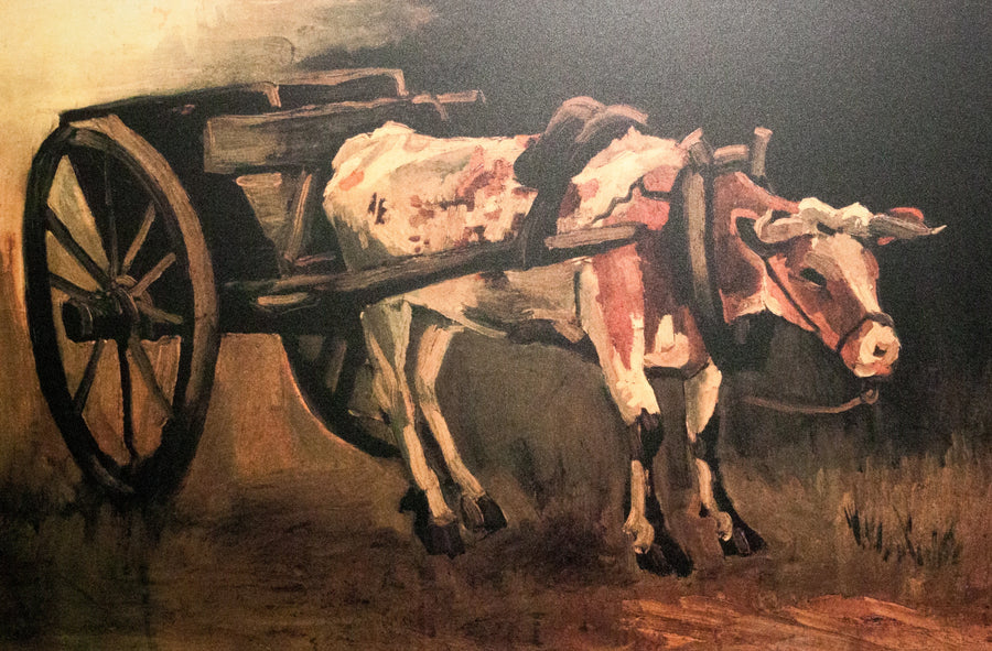 عربة مع ثور أحمر وأبيض - فينسنت فان جوخ