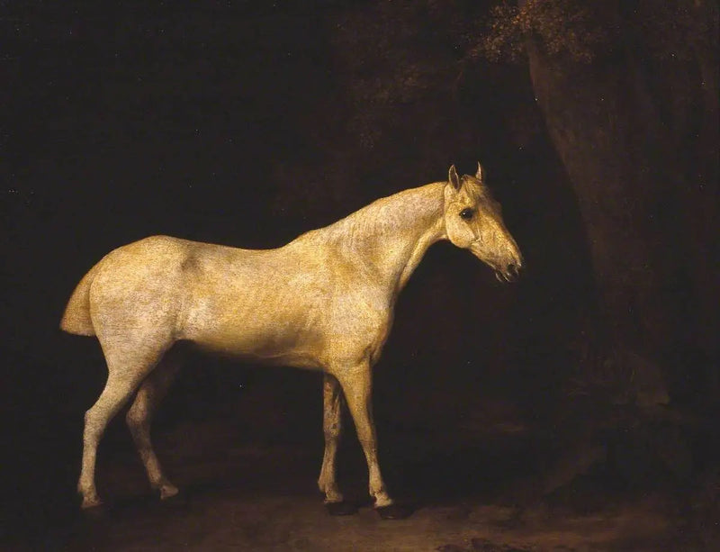 حصان في ظل غابة - جورج ستوبس