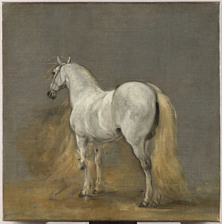 Cheval blanc - Adam Frans Van der Meulen