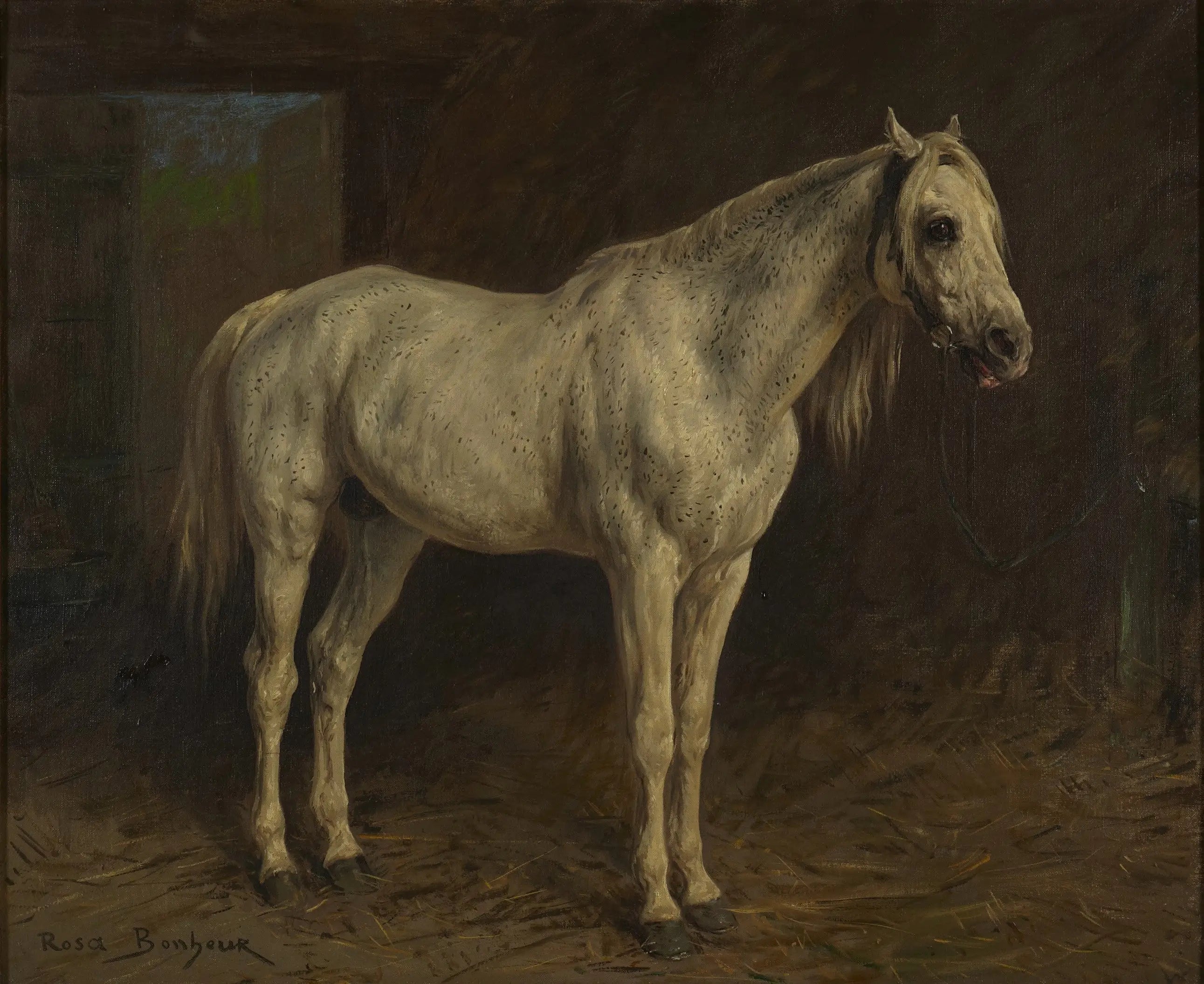 Cheval Blanc - Rosa Bonheur - Alpha Reproduction