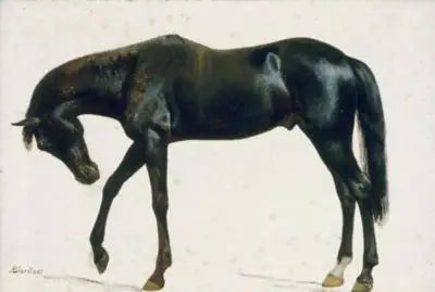 حصان أسود - ألبرت بيشتادت