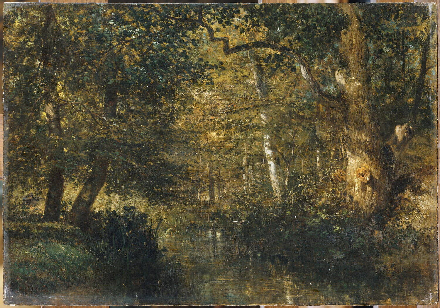 Cours d'eau sous bois - Constant Troyon