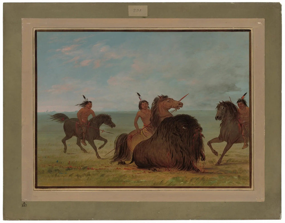 Des Camanchees lancent un bison mâle - George Catlin - Alpha Reproduction