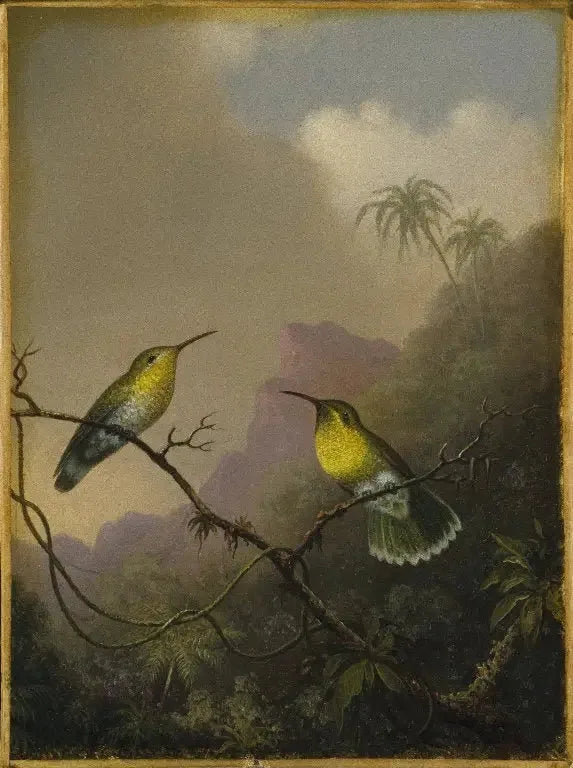 Deux colibris : l'amazili à queue cuivrée - Martin Johnson Heade image 1 reproduction de peinture à l’huile