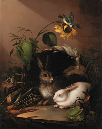 Deux lapins au tournesol – Johann Amandus Winck