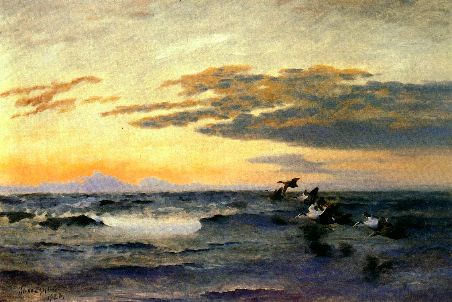 Eiders au lever du soleil - Bruno Liljefors