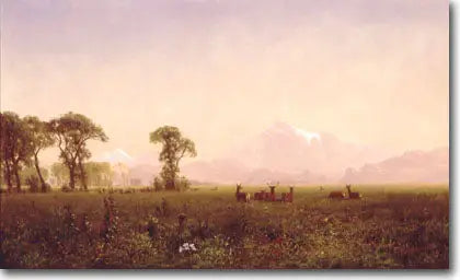 Élans broutant dans la région de Wind River - Albert Bierstadt - Alpha Reproduction