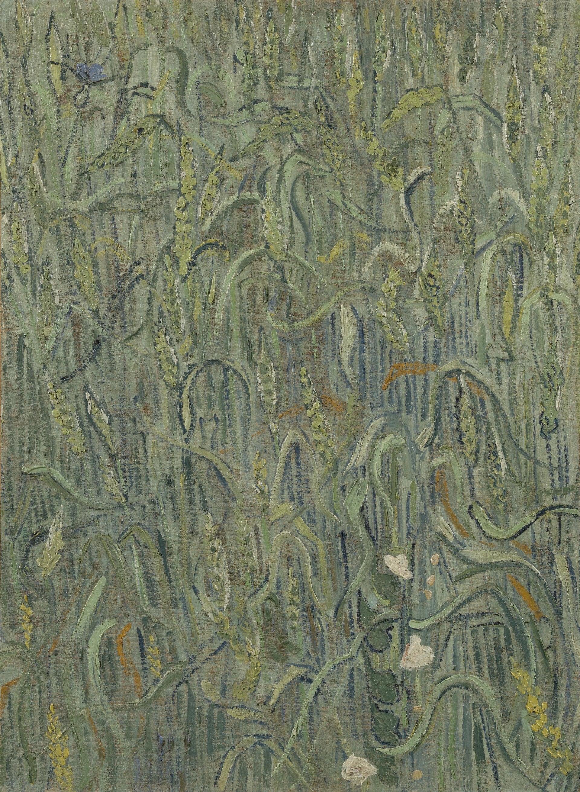 Épis de blé de Vincent van Gogh, Van Gogh Museum, s0088V1962