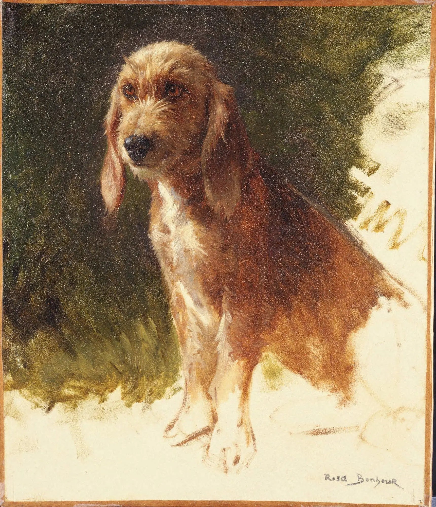 Étude d’un chien - Rosa Bonheur - Alpha Reproduction