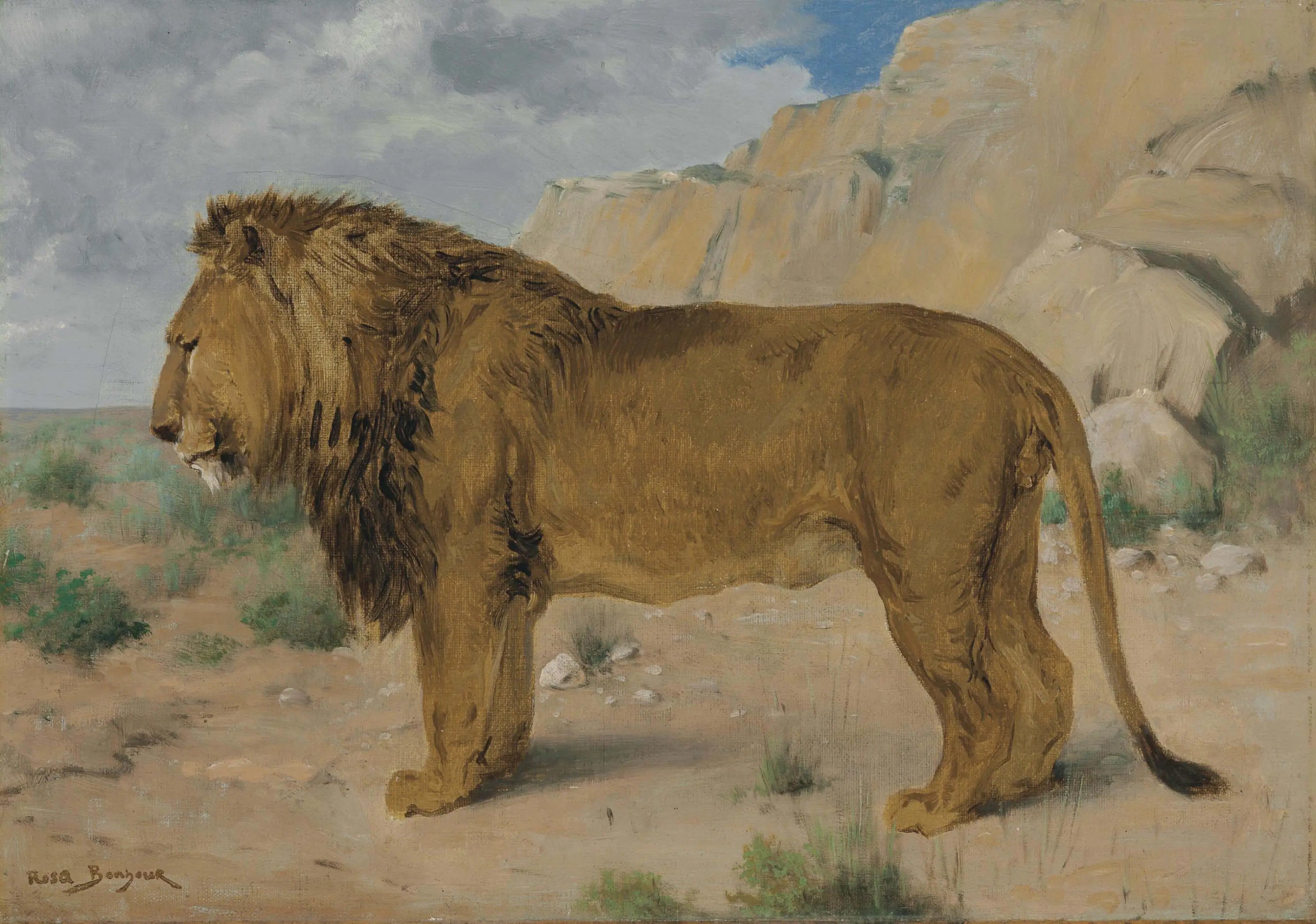 Étude d’un lion - Rosa Bonheur - Alpha Reproduction