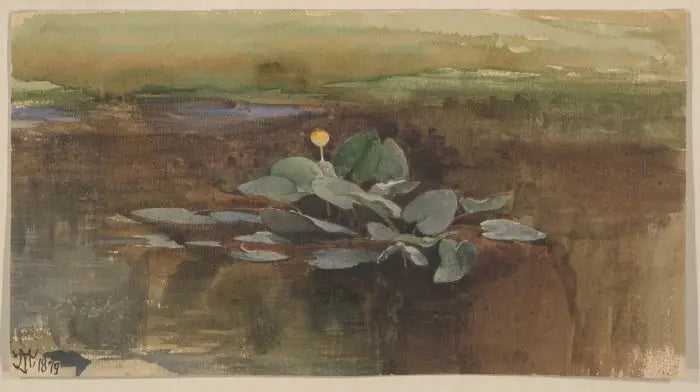 Étude d’un lotus d’eau - Thomas Moran - Alpha Reproduction