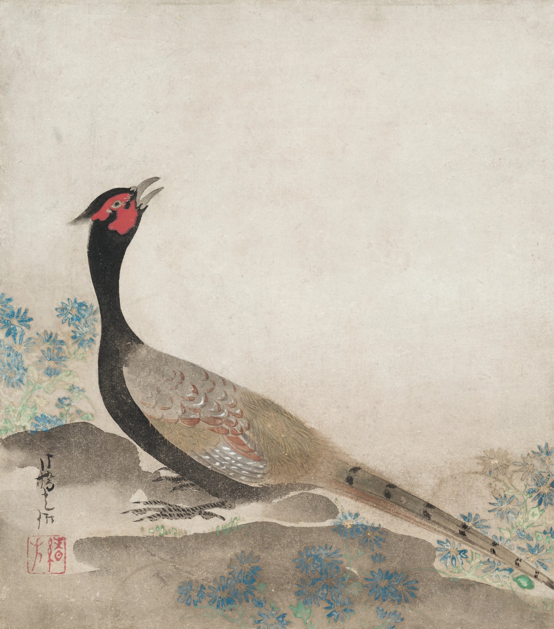 Faisan - Ogata Kōrin