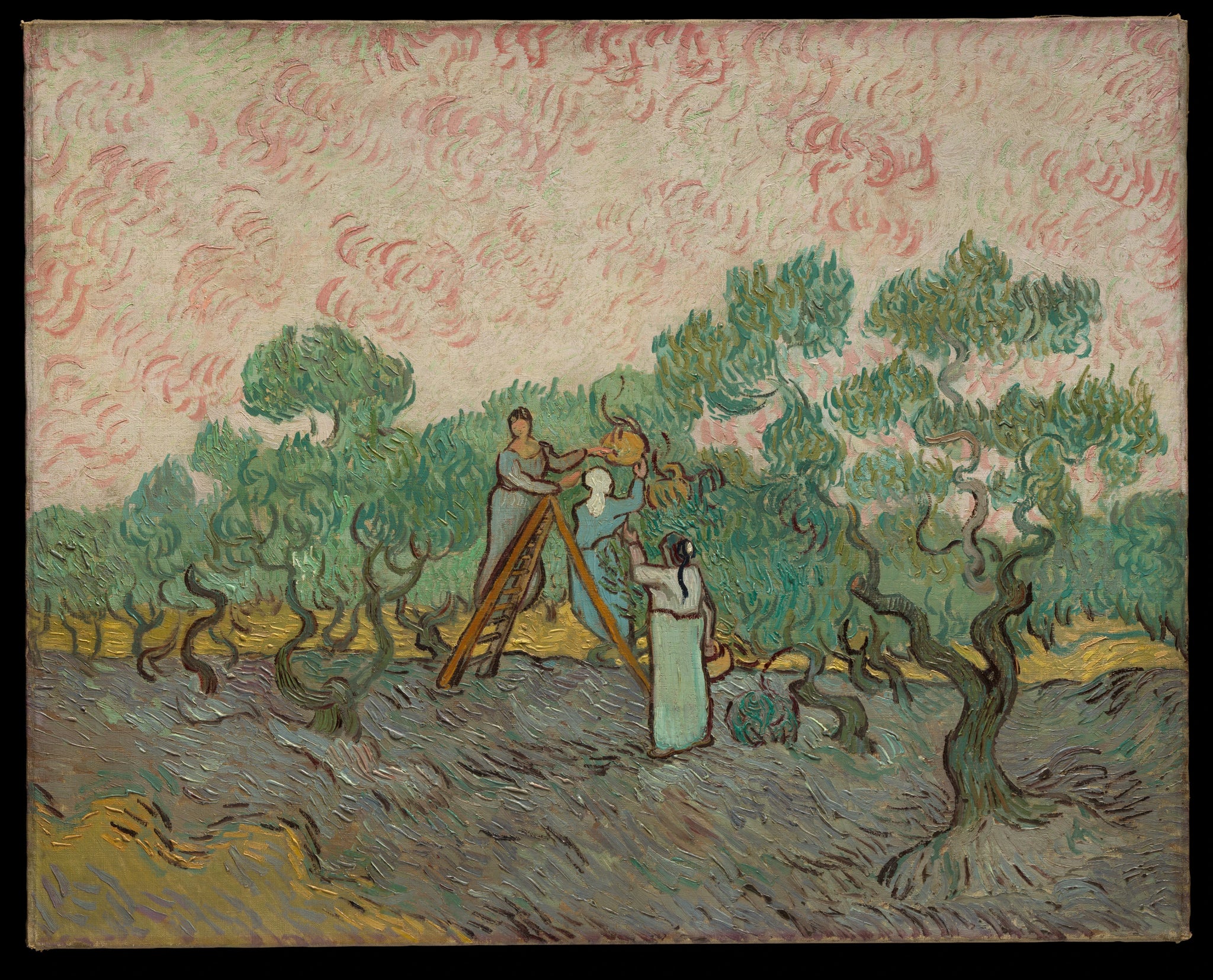 Femmes cueillant des olives de Vincent van Gogh, F655 JH1869, Metropolitan Museum of Art