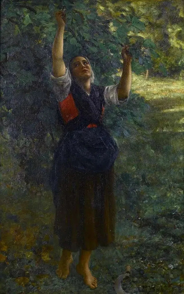 فتاة تجمع التين - Jules Breton