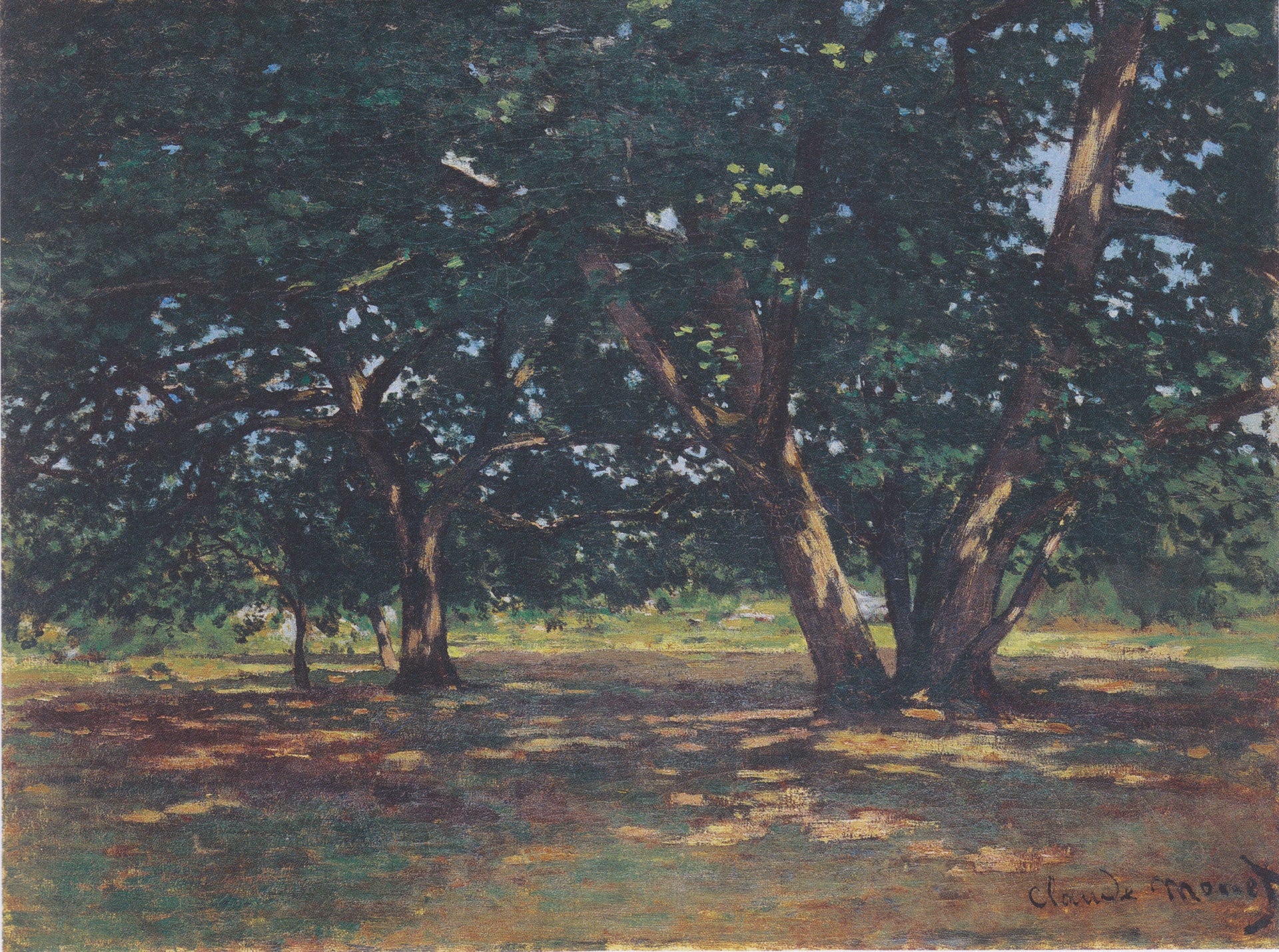 Forêt de Fontainebleau W59 par Claude Monet, vers 1863-1865, Kunst Museum Winterthur