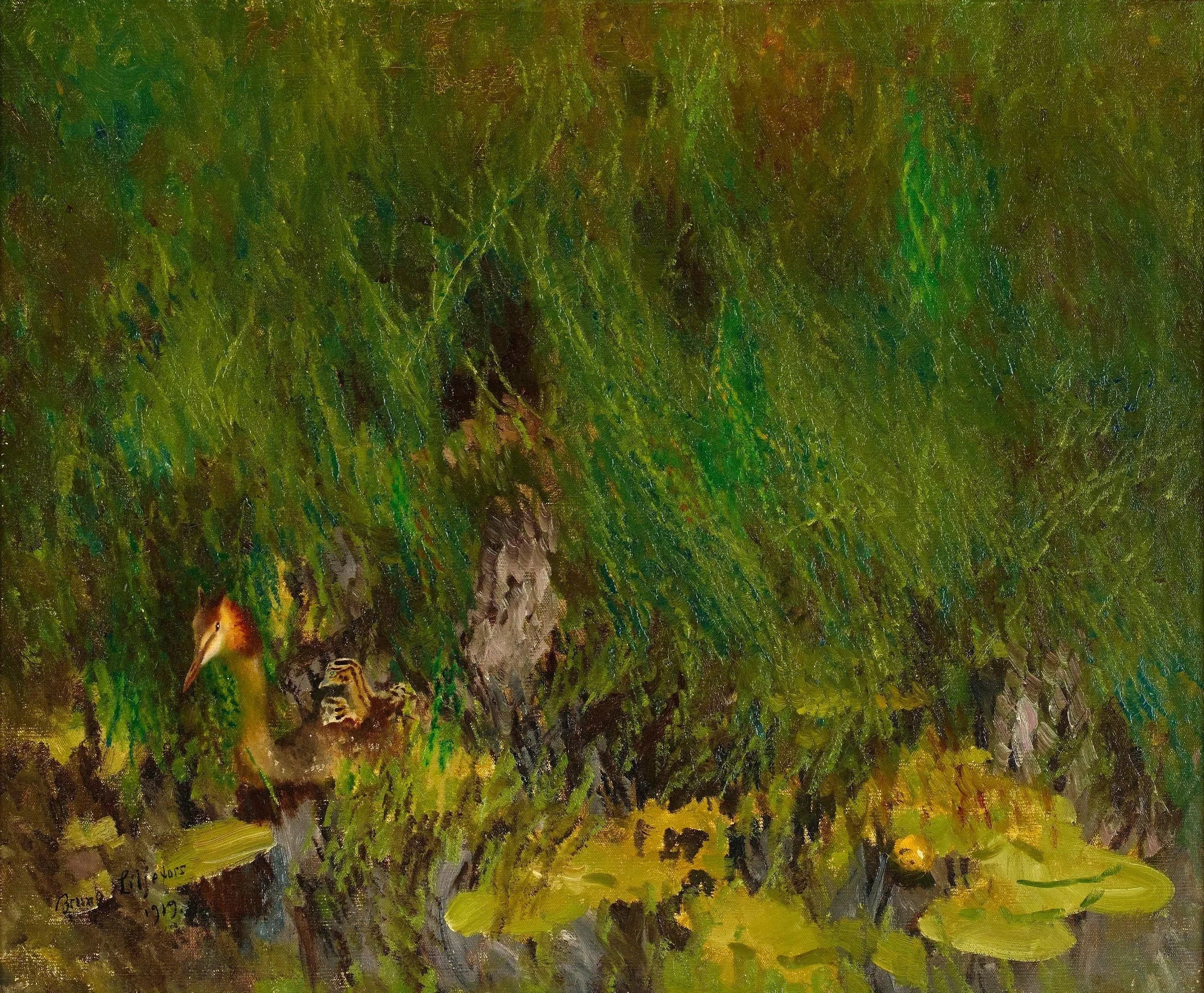 Grèbe huppé - Bruno Liljefors