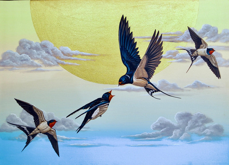 عصفور السنونو في السماء | 70 × 50 سم