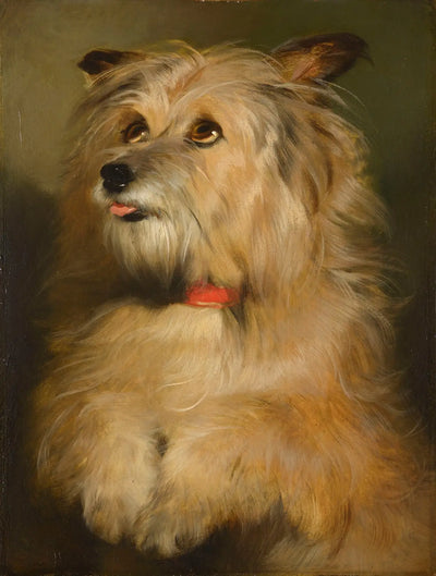 Islay - Edwin Henry Landseer - Alpha Reproduction