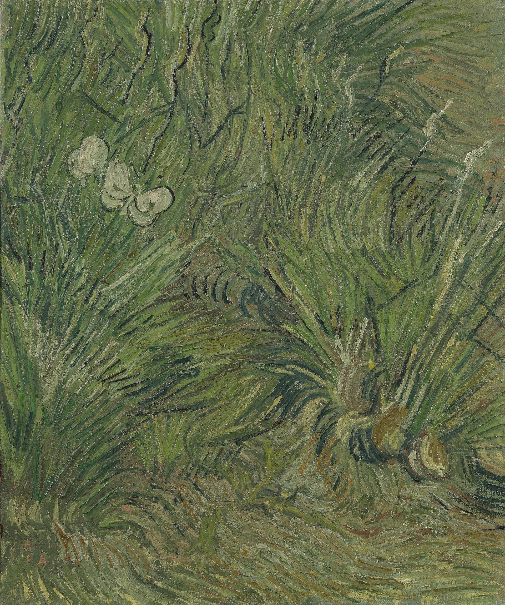 Jardin aux papillons de Vincent van Gogh, Van Gogh Museum, s0110V1962