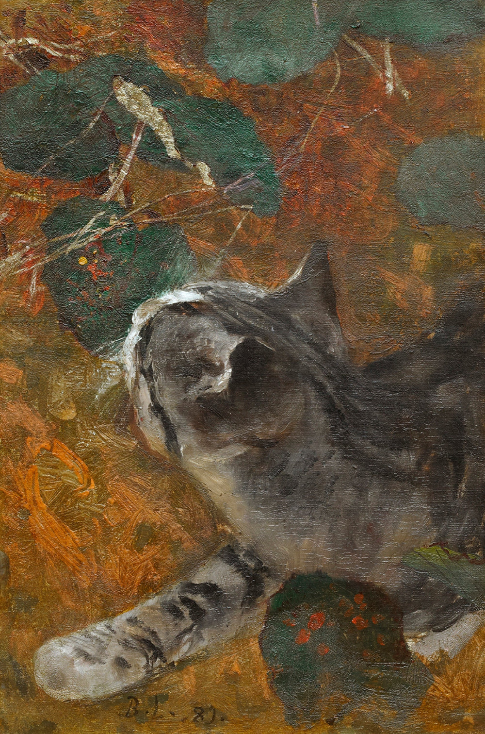 Jeppe le chat - Bruno Liljefors