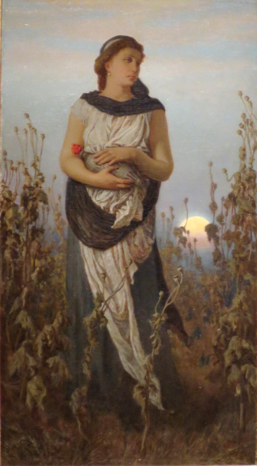 Jeune fille aux coquelicots – Elihu Vedder