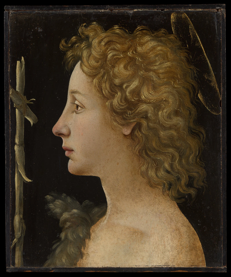 Le jeune saint Jean-Baptiste - Piero di Cosimo (Piero di Lorenzo di Piero d'Antonio)