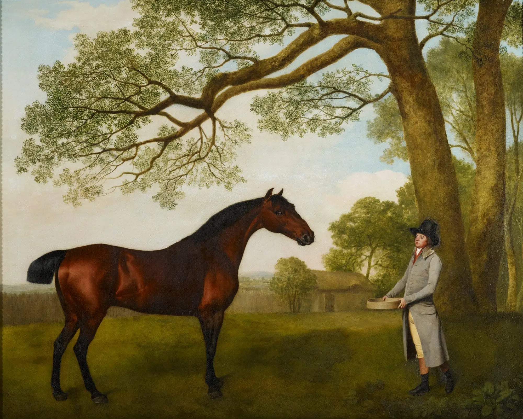 John Gascoigne avec un cheval bai - George Stubbs - Alpha Reproduction
