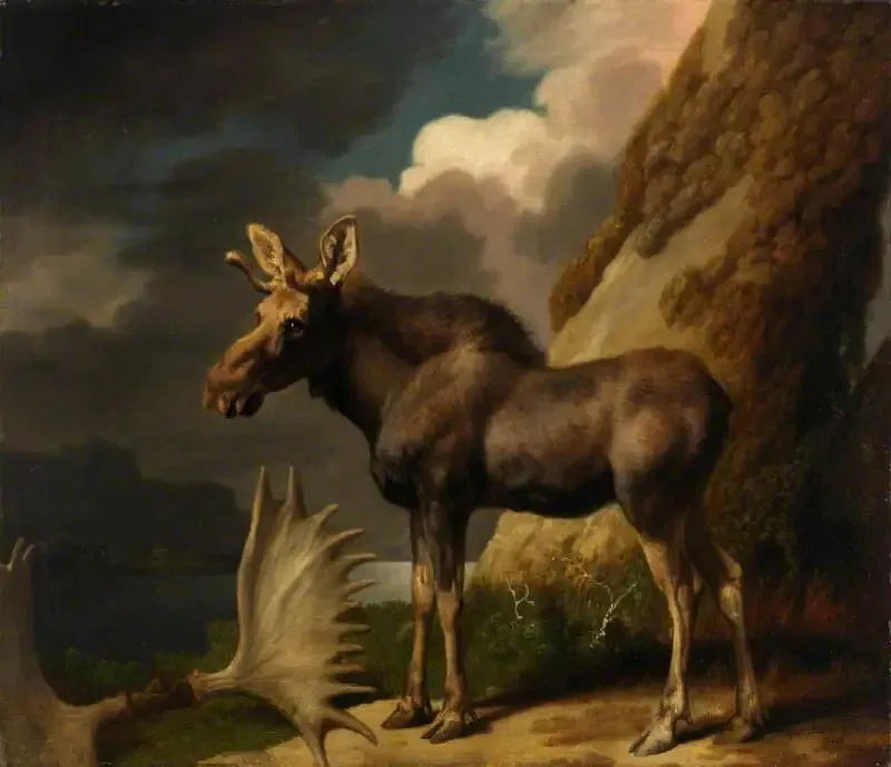 النمر - جورج ستوبس