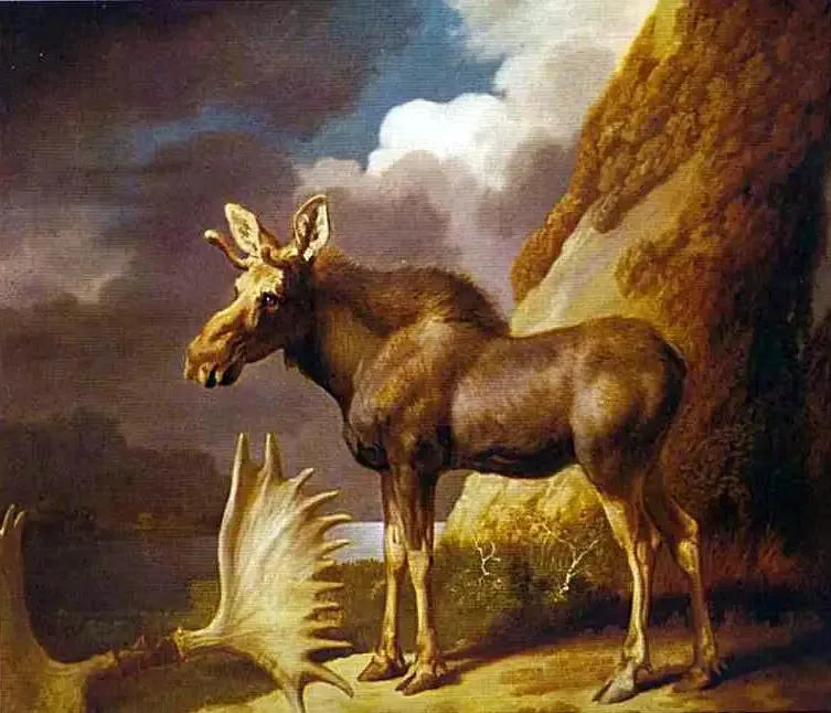 النمر - جورج ستوبس
