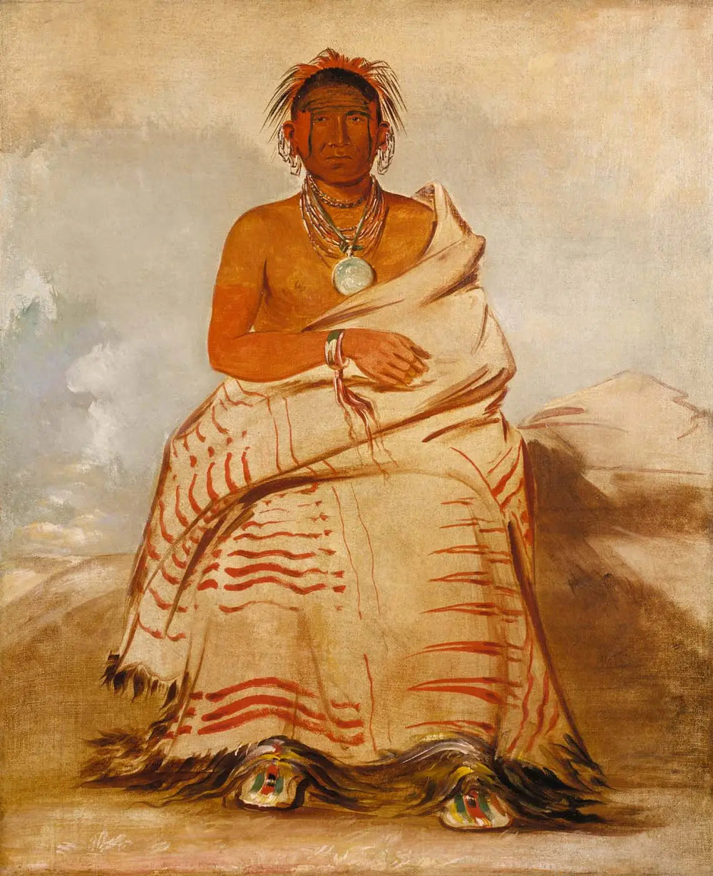 L'har-e-tar-rúshe, Homme de mauvaise humeur, un Skidi (Loup) Pawnee - George Catlin image 1 reproduction artisanale de tableau