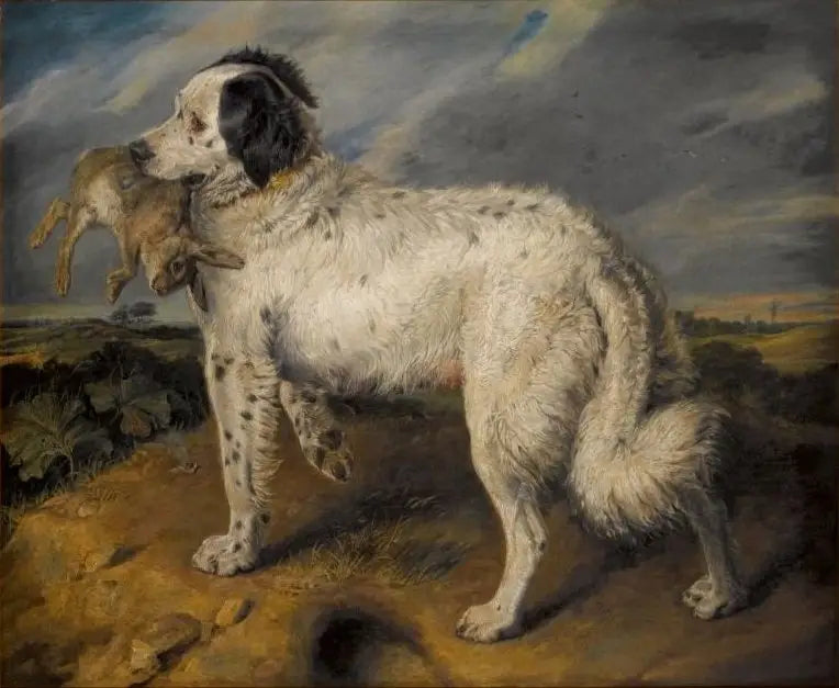 البطلة: فينوس - إدوين هنري لاندسيير