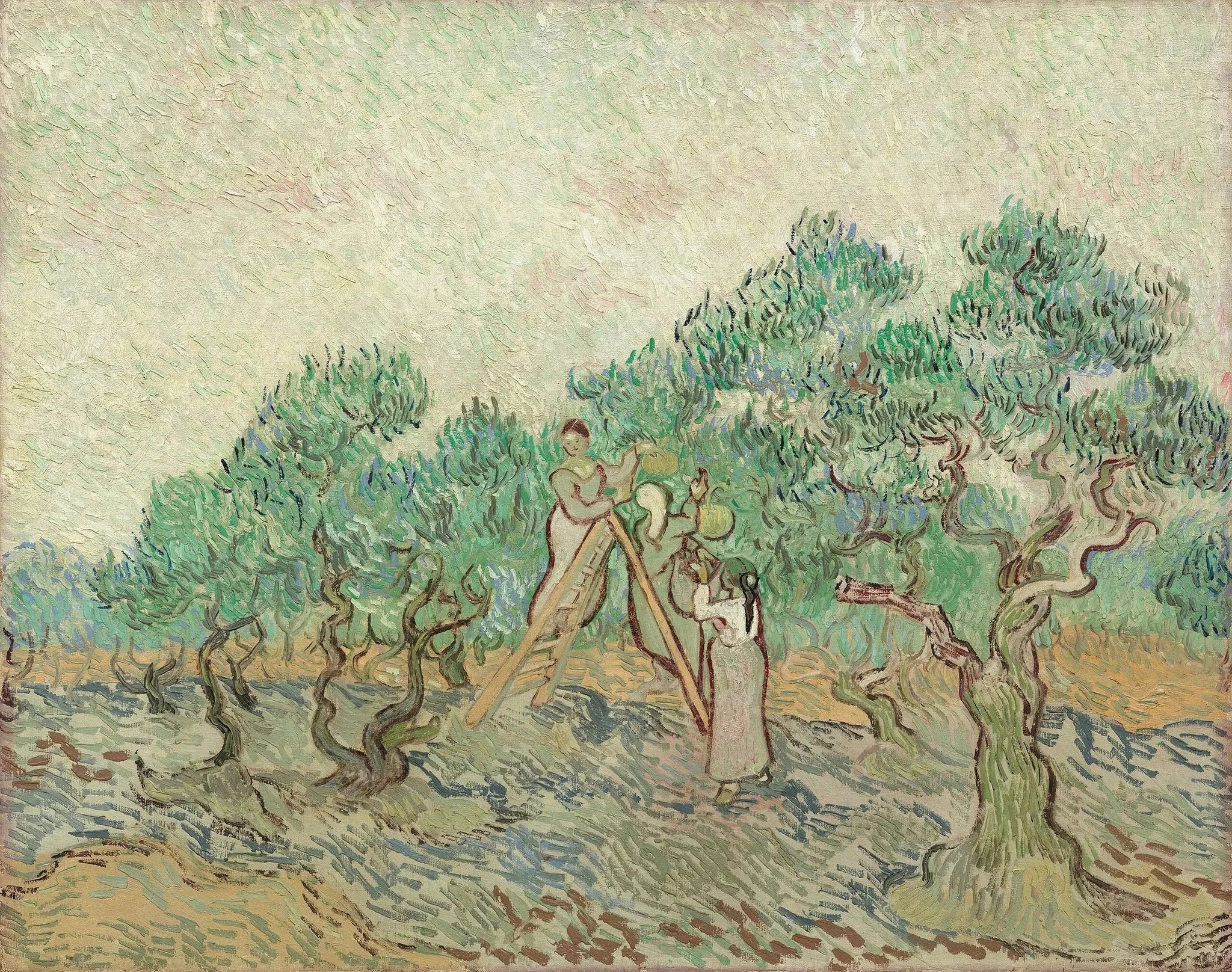 La Cueillette des olives - Vincent van Gogh image 1 copie de tableau peinte à la main