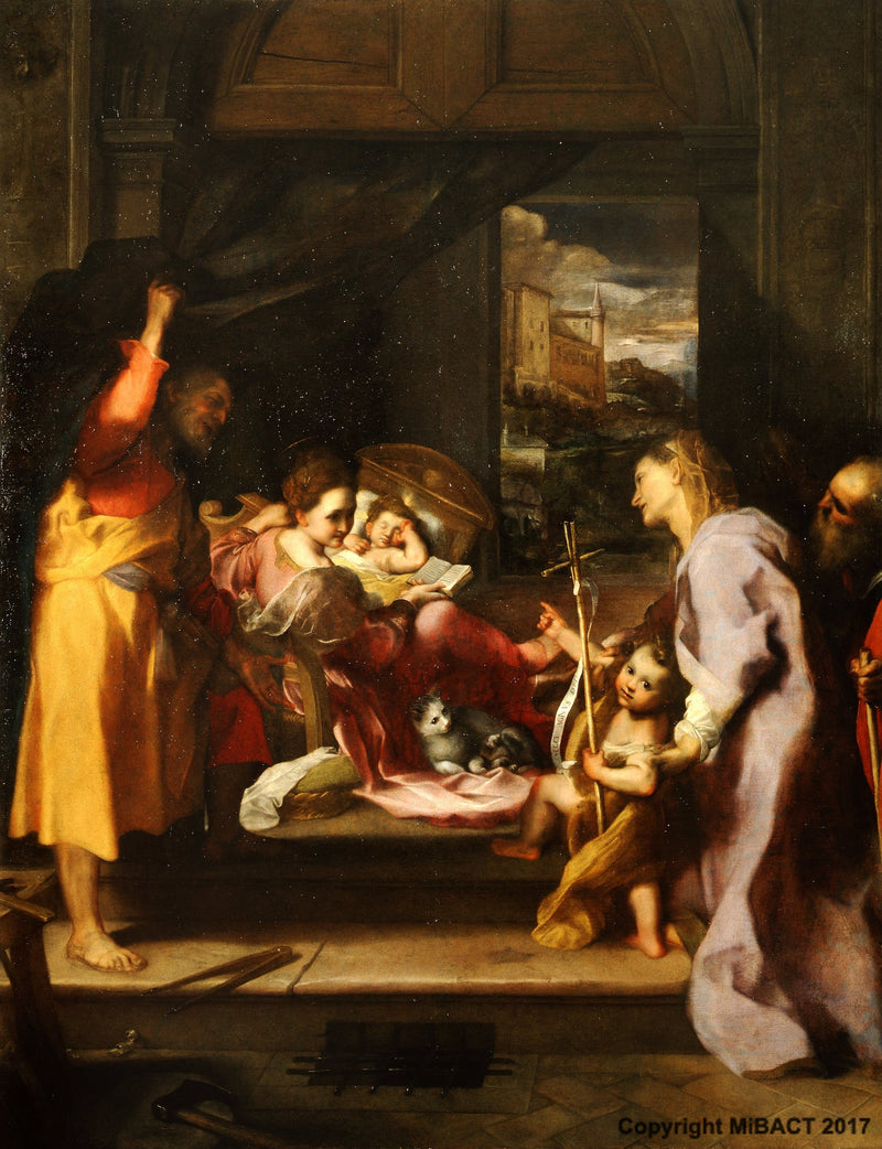 مادونا القط - فيديريكو باروشي