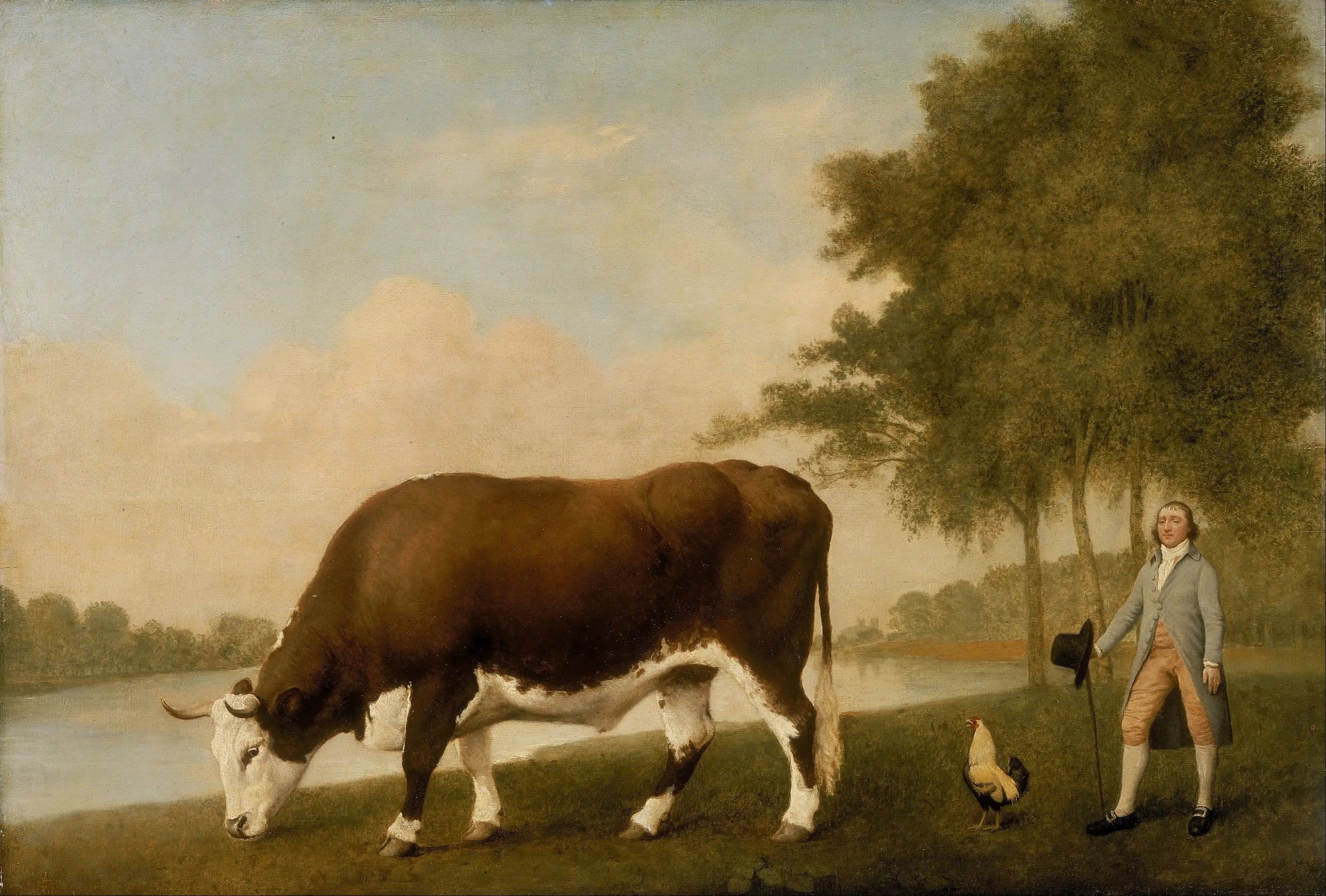 Le bœuf du Lincolnshire - George Stubbs - Alpha Reproduction