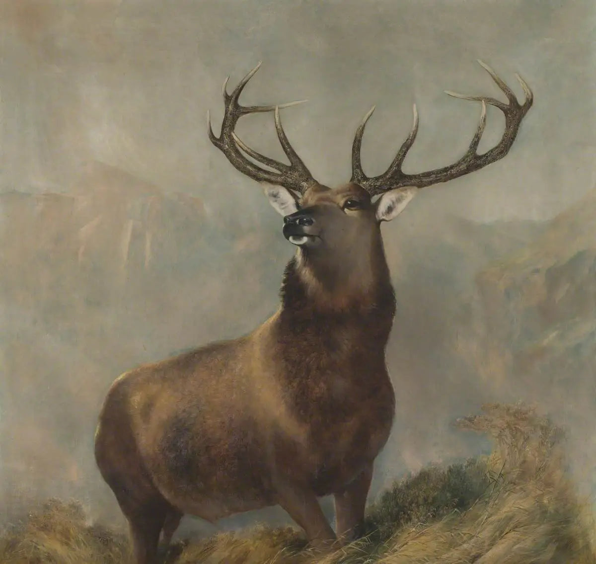 Le monarque du Glen - Edwin Henry Landseer - Alpha Reproduction