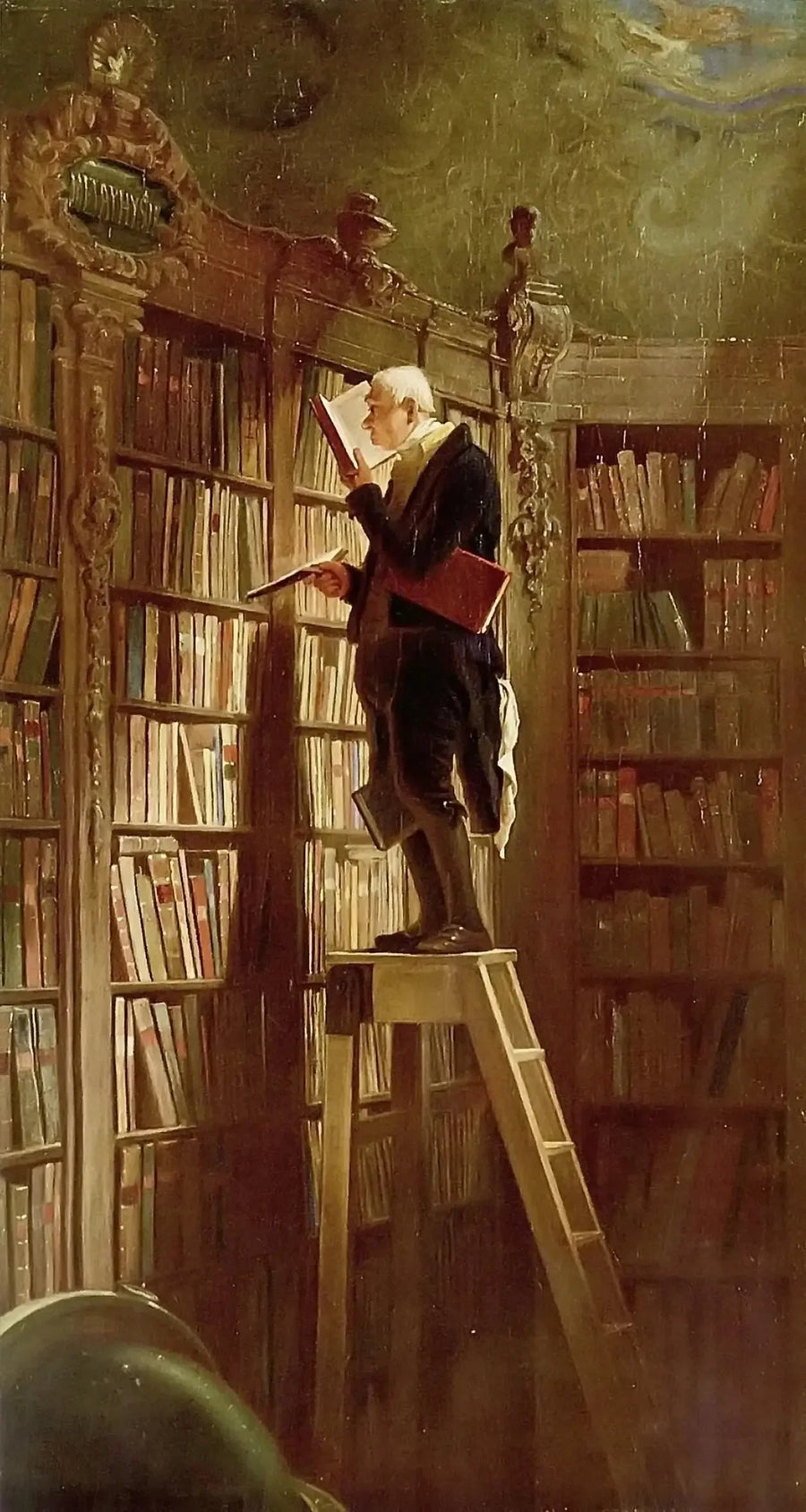 جرذ المكتبة، تفاصيل - كارل سبينتويغ