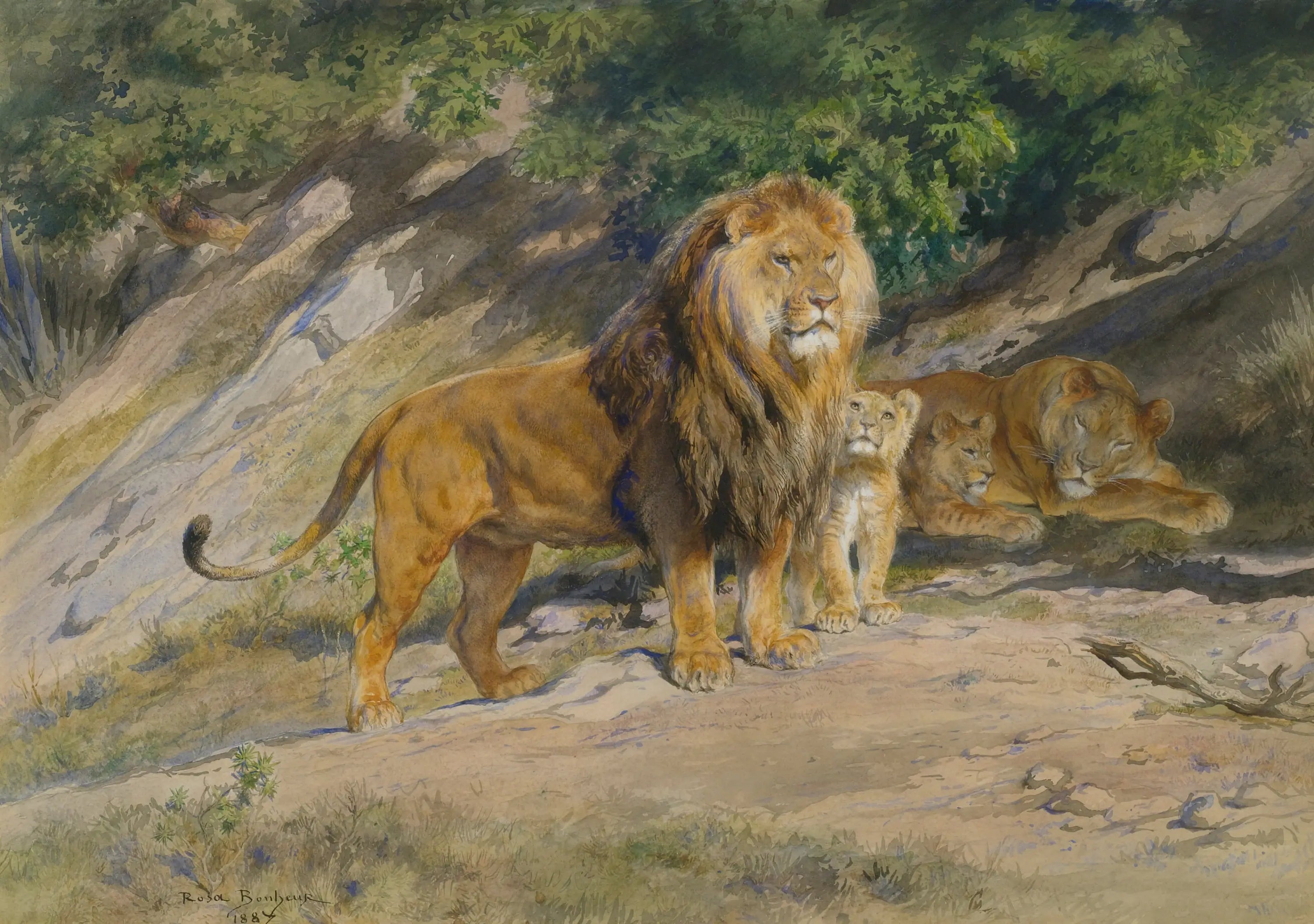 Le roi regarde - Rosa Bonheur - Alpha Reproduction
