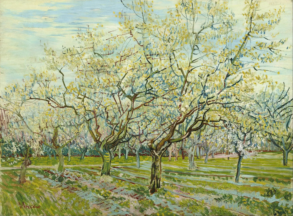 Le verger blanc - Vincent van Gogh image 1 reproduction de peinture à l’huile