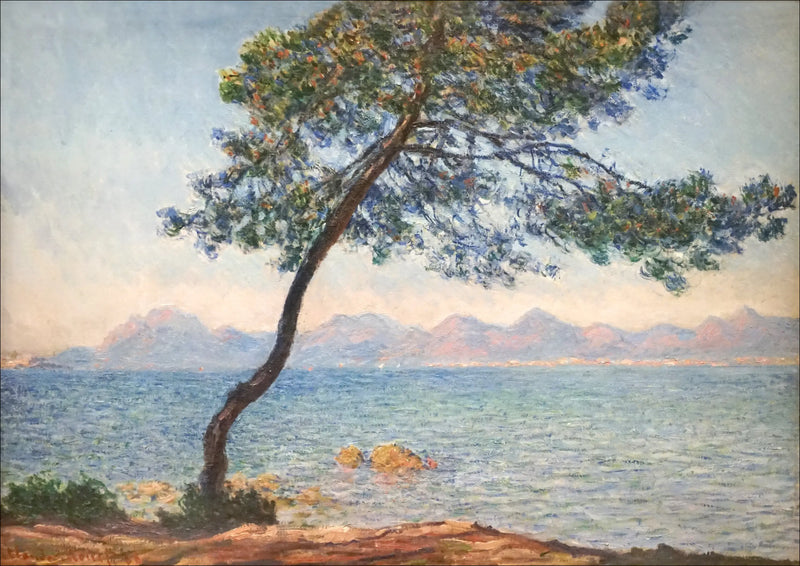 المضادات البكتيرية - كلود مونيه