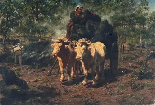 حطاب الفحم - روزا بونهر