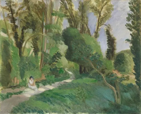 مضايق الذئب - هنري ماتيس